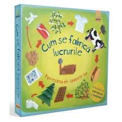 Cum se fabrica lucrurile - Christiane Dorion