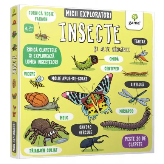 Insecte si alte ganganii. Micii exploratori